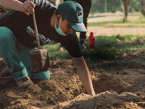one-tree-planted